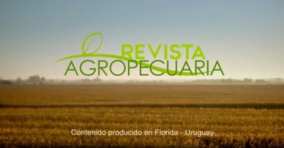 Revista Agropecuaria 18-05-2020