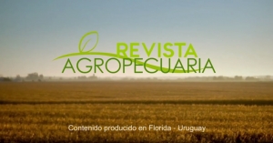 Revista Agropecuaria 06-05-2019